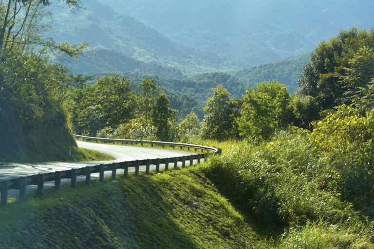 What is sustainable travel tips ?