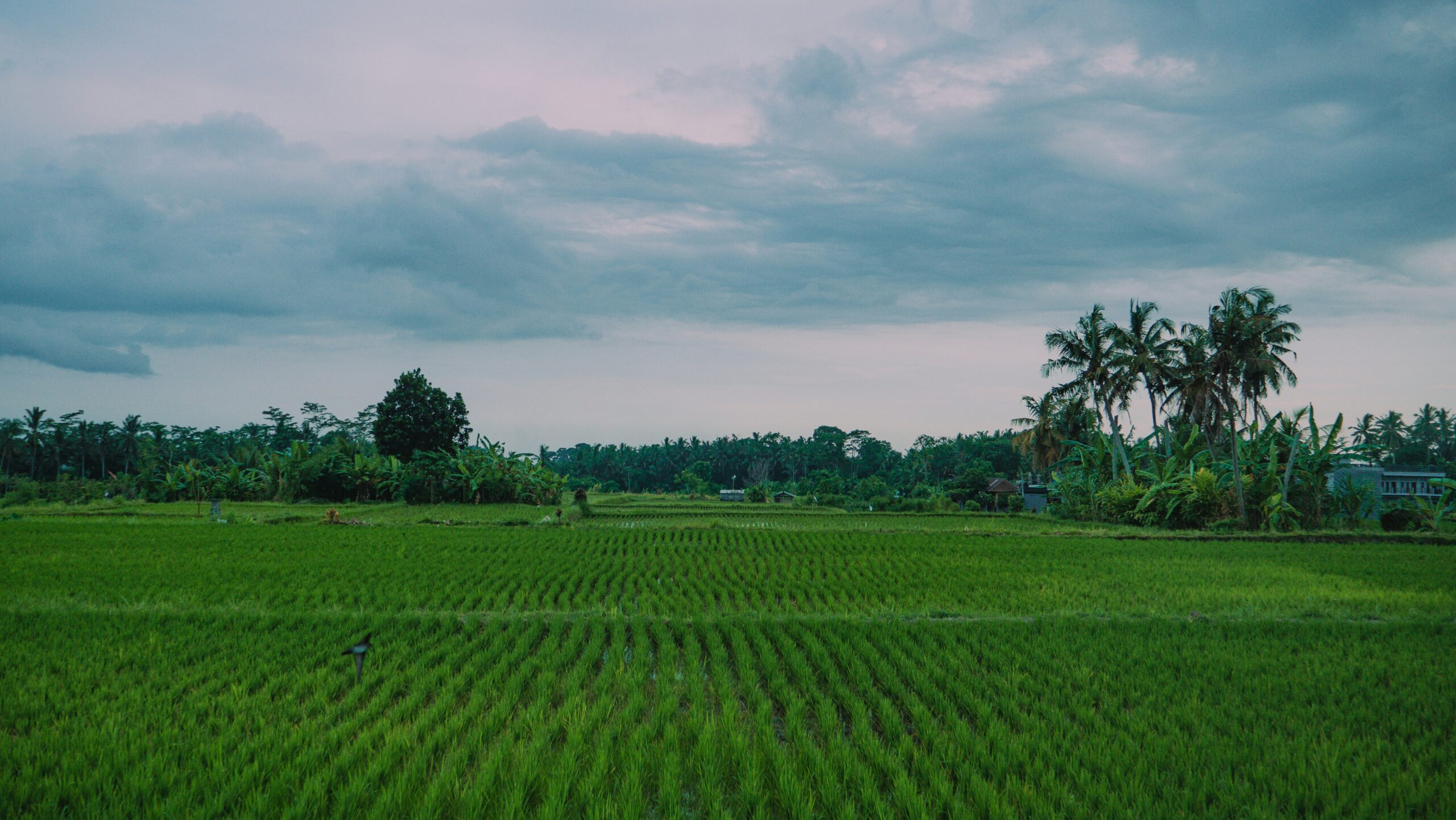 greenfootprinttravel